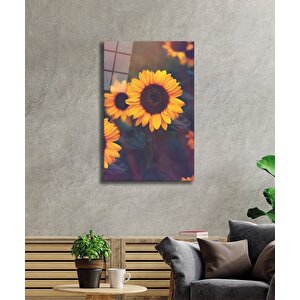 EOL 50x70 cm