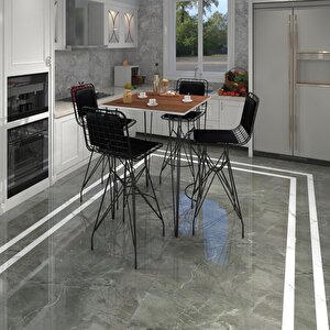 Knsz Masa Sandalye Takımı Hem105zengin Cvzsyh 080*080 4 Sandalye Syhsyh Sırt Minderli