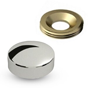 Dekoratif Vida Kapağı Kapatıcı 20 Mm Parlak Krom Vida Tapası Tıpası (100 Adet)