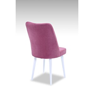Polo Sandalye - Jerika Gül - Ahşap Beyaz Ayak Pembe
