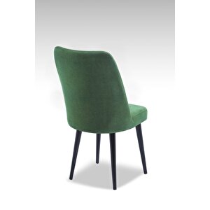 Polo Sandalye - Jerika Yeşil - Ahşap Siyah Ayak Yeşil