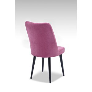 Polo Sandalye - Jerika Gül Kurusu - Ahşap Siyah Ayak Pembe