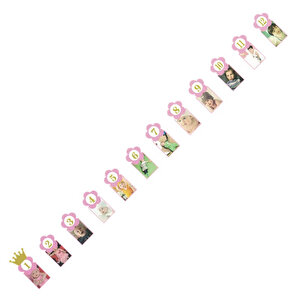 1-12 Ay Simli Foto Banner, 3,00 Mt, Pembe