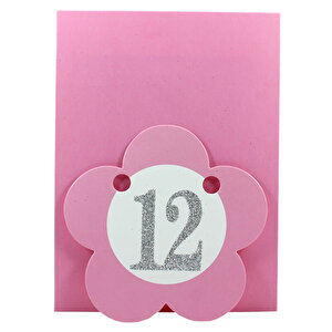 1-12 Ay Simli Foto Banner, 3,00 Mt, Pembe