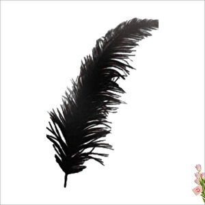 Şeffaf Balon İçi Kuş Tüyü, 100 Adet - Siyah