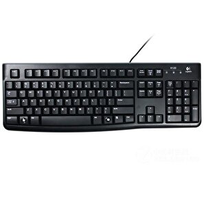 K120 Usb Q Trk Siyah Standart Klavye 920-002505