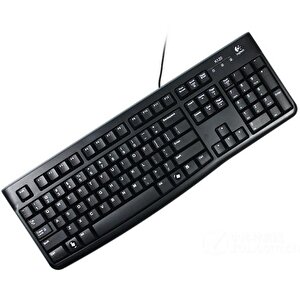 K120 Usb Q Trk Siyah Standart Klavye 920-002505
