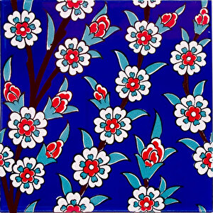 60x100 Cm Ac 60 Papatya Serigraf Türk Hamamı Pano