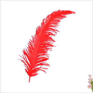 Şeffaf Balon İçi Kuş Tüyü, 100 Adet - Kırmızı