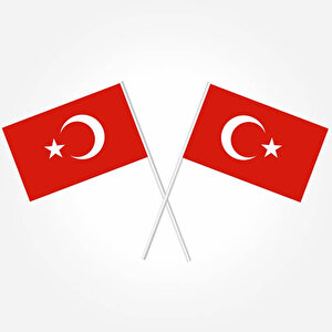 Türk Bayrağı Sopalı, 18cm X 12cm - 10 Adet