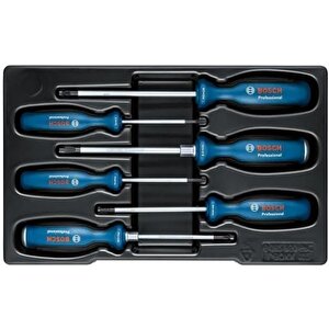 Bosch Tornavida Seti 6 Parça