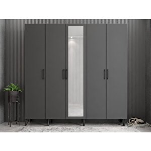 Açelya Portmanto Vestiyer Füme - 200cm M12 Montaj Dahil