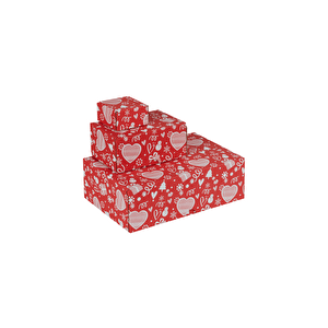 30x20x10-50 Adet Baskılı Hediye Karton Kutusu