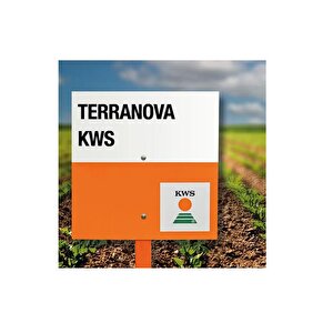 Kws Terranova Şeker Pancarı Tohumu 100.000 Adet