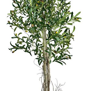 Yapay Zeytin Ağacı 190cm Keten Sarılı Plastik Saksıda İki Gövdeli Doğal Görünümlü Yapay Ağaç