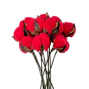 Doğal Pamuk Çiçeği Kırmızı 10 Adet Tekli Dal Kuru Çiçek 30 Cm Yapay Çiçek
