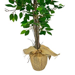 Yapay Ağaç Benjamin 3 Gövdeli Çalılı 100x60cm Keten Sarılı Siyah Plastik Saksılı