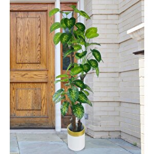 Yapay Çiçek Difenbahya Sarı Yeşil 3katlı 190cm 54yaprak Gold Kemerli Beyaz Saksıda Yapay Bitki