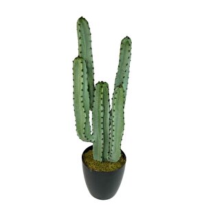 Yapay Çiçek Kaktüs Ağacı 4kollu Siyah Saksıda 70*22cm 4026