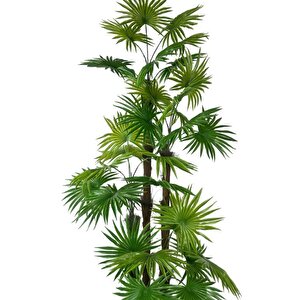 Yapay Ağaç Yelpaze Palmiye 4katlı Fanpalm 32 Yaprak Altın Kemerli Beyaz Saksıda 170*65cm