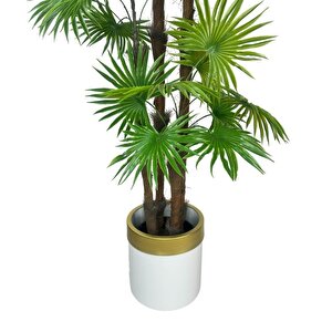 Yapay Ağaç Yelpaze Palmiye 4katlı Fanpalm 32 Yaprak Altın Kemerli Beyaz Saksıda 170*65cm