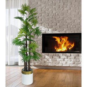 Yapay Ağaç Yelpaze Palmiye 4katlı Fanpalm 32 Yaprak Altın Kemerli Beyaz Saksıda 170*65cm
