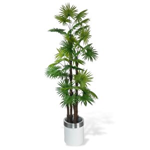 Yapay Ağaç Yelpaze Palmiye 4katlı Fanpalm 32 Yaprak Gümüş Kemerli Beyaz Saksıda 170*65cm