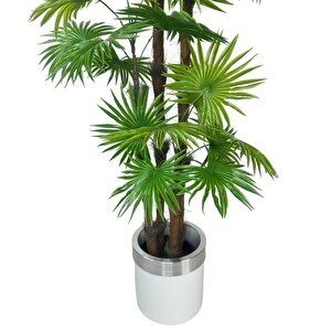 Yapay Ağaç Yelpaze Palmiye 4katlı Fanpalm 32 Yaprak Gümüş Kemerli Beyaz Saksıda 170*65cm