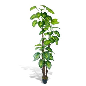 Yapay Çiçek Difenbahya Sarı Yeşil 3katlı 190cm 54yaprak Siyah Plastik Saksıda Yapay Bitki
