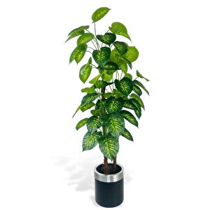 Yapay Çiçek Difenbahya Sarı Yeşil 3katlı 160cm 54yaprak Gümüş Kemerli Siyah Saksıda Yapay Bitki
