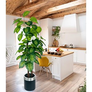 Yapay Çiçek Difenbahya Sarı Yeşil 3katlı 160cm 54yaprak Gümüş Kemerli Siyah Saksıda Yapay Bitki