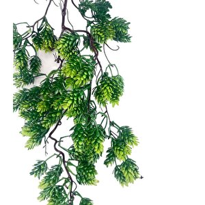Yapay Çiçek Sarkan Doğal Dallı Kozalak Çiçeği 70cm Yapay Sarmaşık Yeşil