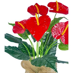 Yapay Çiçek Antoryum Keten Saksılı Yapay Bitki Salon Çiçeği Kırmızı