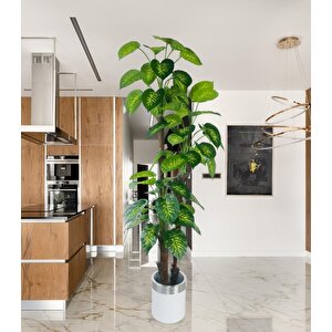 Yapay Çiçek Difenbahya Sarı Yeşil 3katlı 190cm 54yaprak Gümüş Kemerli Beyaz Saksıda Yapay Bitki