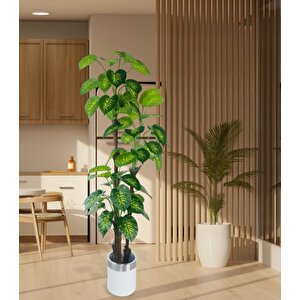 Yapay Çiçek Difenbahya Sarı Yeşil 3katlı 190cm 54yaprak Gümüş Kemerli Beyaz Saksıda Yapay Bitki