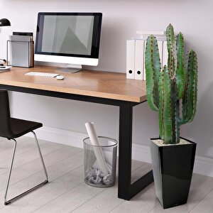 Yapay Çiçek Kaktüs Ağacı 4kollu 70*22cm 4026