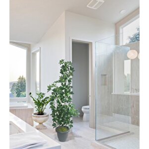 Yapay Ağaç Şeflera 3 Gövdeli 160x60cm Antrasit Villa Saksıda Salon Çiçeği