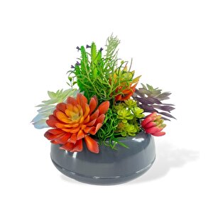 Yapay Çiçek Kaktüs Sukulent Aranjmanı Antrasit Renk Plastik Saksıda 10 Adet Karışık Model Skulent