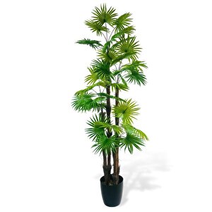 Yapay Ağaç Yelpaze Palmiye 4katlı Fanpalm 32 Yaprak 170*65cm