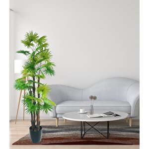 Yapay Ağaç Yelpaze Palmiye 4katlı Fanpalm 32 Yaprak 170*65cm