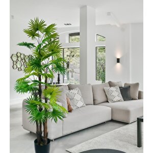 Yapay Ağaç Yelpaze Palmiye 4katlı Fanpalm 32 Yaprak 170*65cm