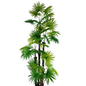 Yapay Ağaç Yelpaze Palmiye 4katlı Fanpalm 32 Yaprak 170*65cm
