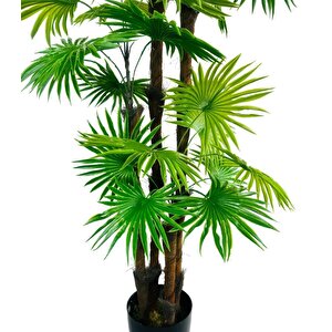 Yapay Ağaç Yelpaze Palmiye 4katlı Fanpalm 32 Yaprak 170*65cm