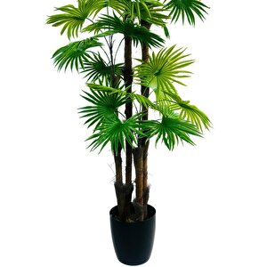 Yapay Ağaç Yelpaze Palmiye 4katlı Fanpalm 32 Yaprak 170*65cm