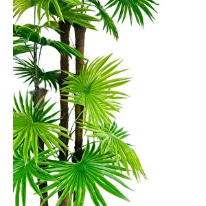 Yapay Ağaç Yelpaze Palmiye 4katlı Fanpalm 32 Yaprak 170*65cm