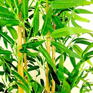 Yapay Ağaç 4 Gövdeli Bambu Ağacı 185 Cm 1.kalite Yapay Çiçek