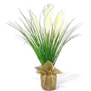 Yapay Çiçek Beyaz Püskül Grass Keten Saksılı Panpas 80*40cm Saz