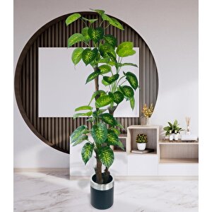 Yapay Çiçek Difenbahya Sarı Yeşil 3katlı 190cm 54yaprak Gold Kemerli Siyah Saksıda Yapay Bitki