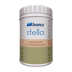 Stella – Su Bazlı Saf Akrilik Boya Mango