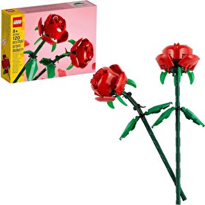 40460 Iconic Rose